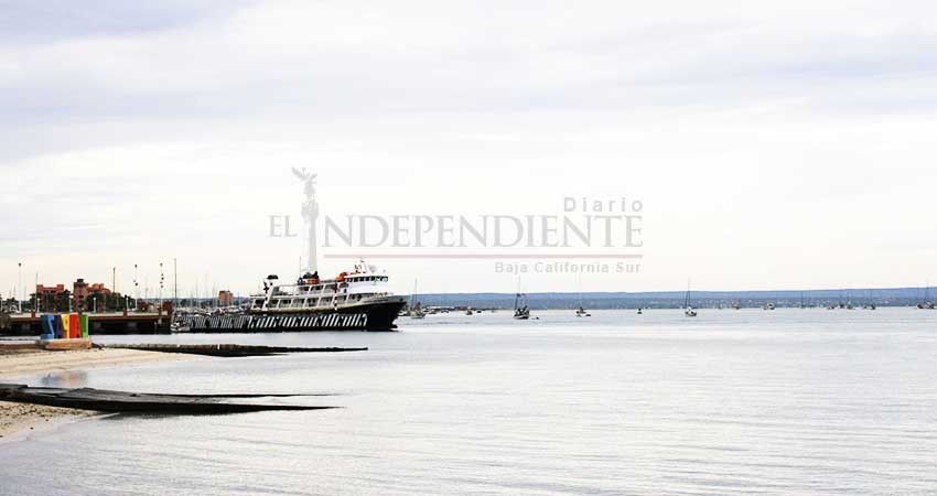 Dragado en Bahía de La Paz no ha causado muerte de fauna marina: ONG