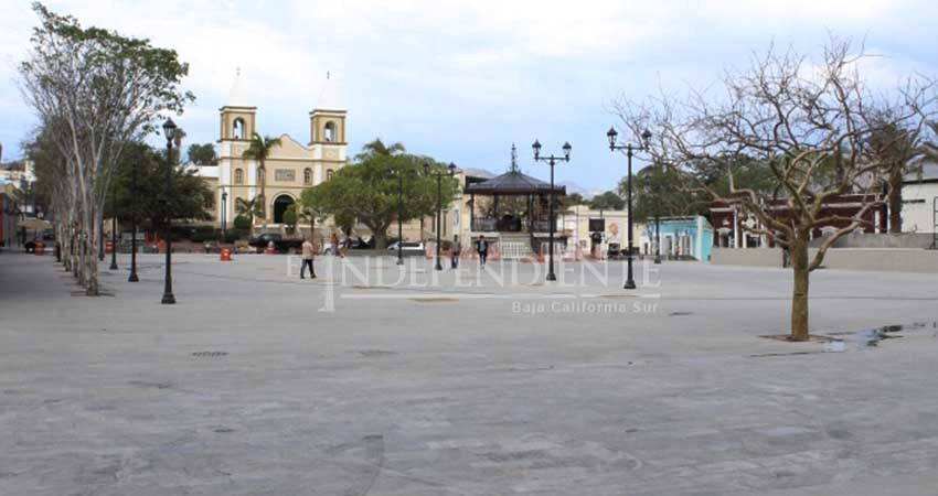 A finales de febrero llegarán los árboles que adornarán la Plaza Mijares de SJC
