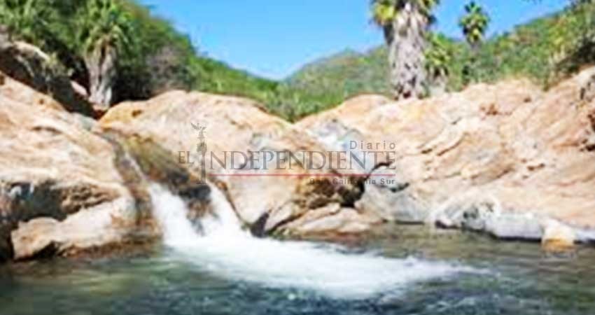 Exhortan a sudcalifornianos a firmar en contra de la Ley General de Biodiversidad