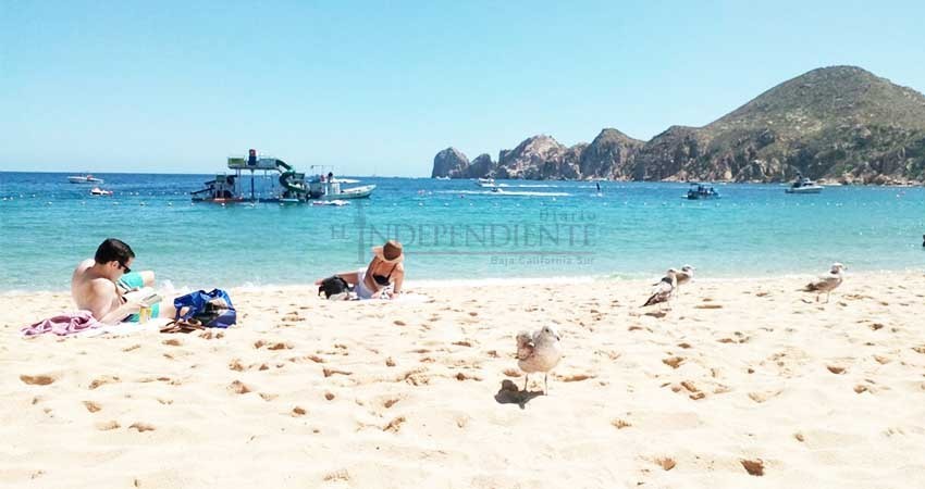 Secretaría de Marina capacita a guardavidas de playas de Cabo San Lucas