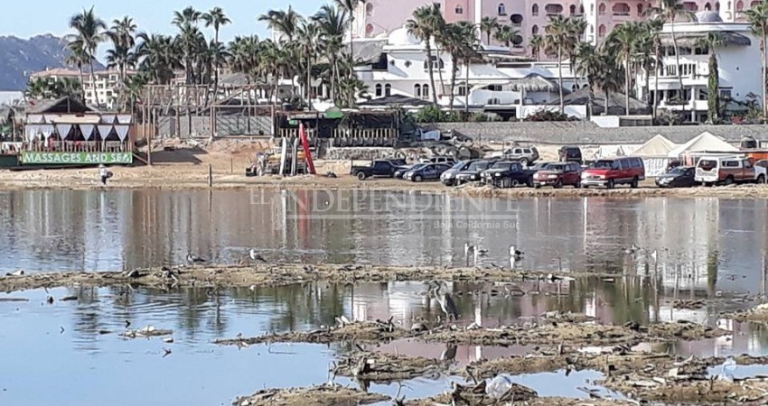 Autoridades siguen sin atender llamado ciudadano para el cuidado del humedal Yenekamú