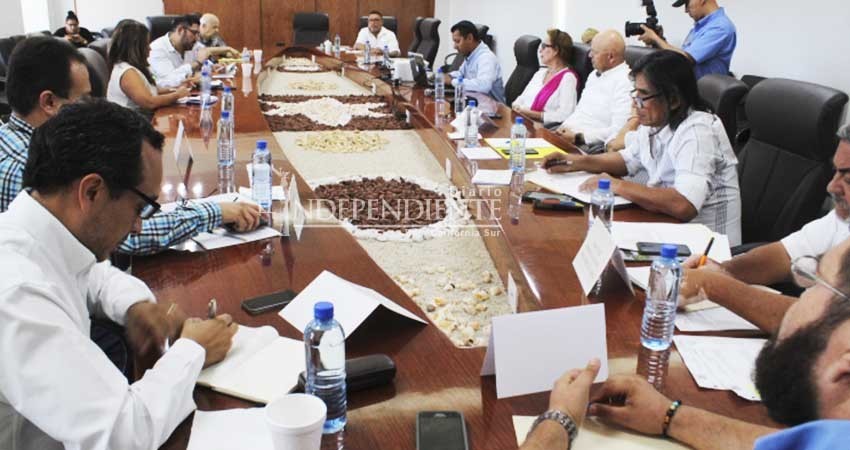 Consejo Asesor del Estero SJC, establece acciones a corto, mediano y largo plazo