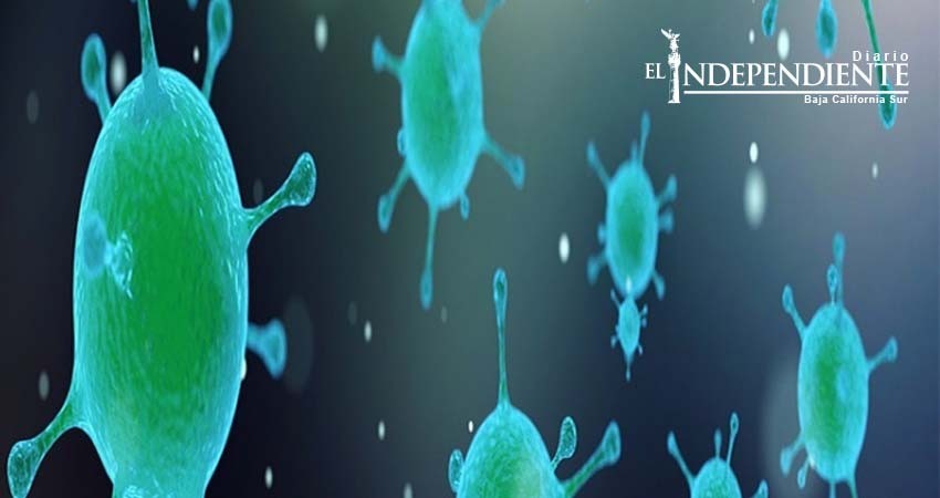 'Enfermedad X' la epidemia que la OMS quiere prevenir