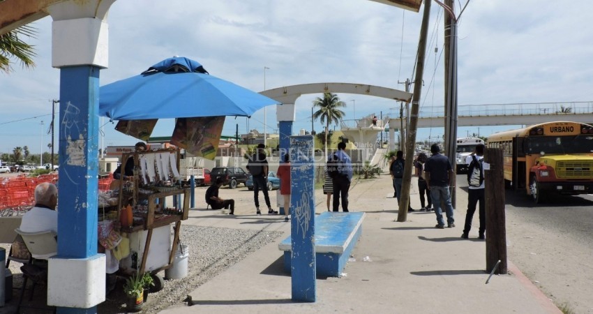 Falta de techado e iluminación, principales deficiencias en paraderos de transporte público: usuarios