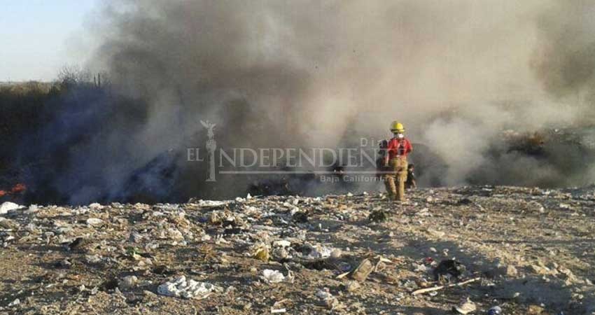 Basureros municipales de Los Cabos en 3 años más podrían cumplir con su vida útil