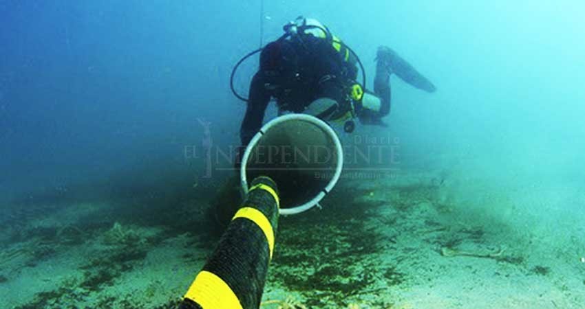 Retrasan licitación de cable submarino; estiman costo en mil 600 mdd