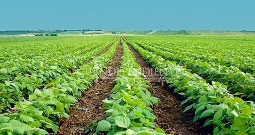 Este 11 de abril Sepada de BCS deberá pagar seguros catastróficos