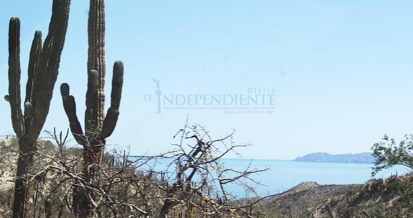 Necesario preservar riquezas naturales para desarrollo turístico: Setues