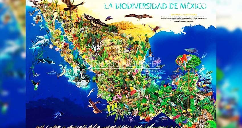 Legisladores se niegan a mostrar el dictamen de la reforma a la Ley General de Biodiversidad