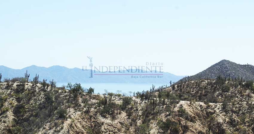 Suman organizaciones civiles frente común sobre promulgación de la Ley General de Biodiversidad