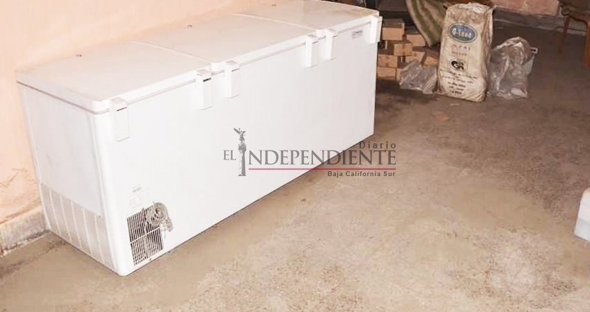 Congeló el cadáver de su madre y cobró su pensión por… ¡3 años!