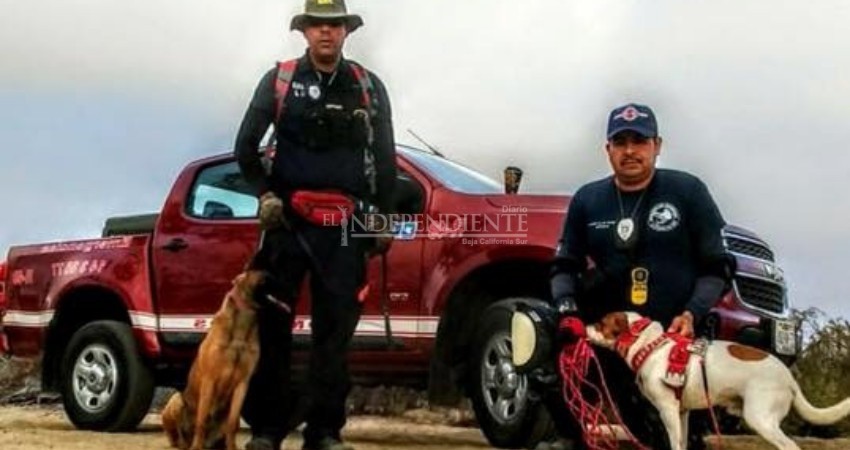 Participa “Ludovico” en tareas de búsqueda y rescate de persona desaparecida en “La Ventana”
