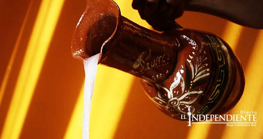 Desarrollan mexicanos bebida probiótica basada en agave