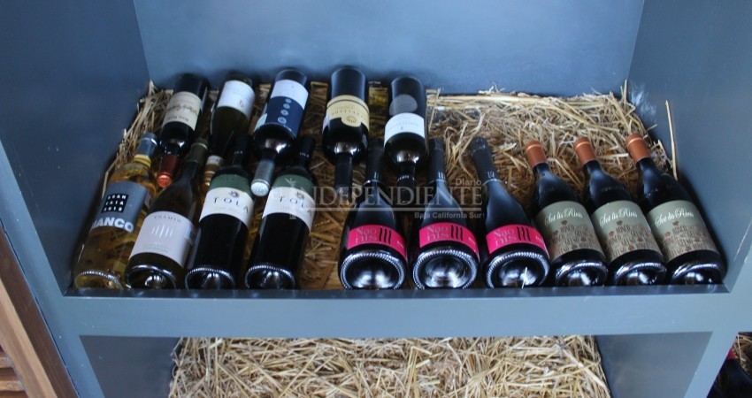 Debe continuar respetándose actual Ley de Alcoholes: Canirac Los Cabos