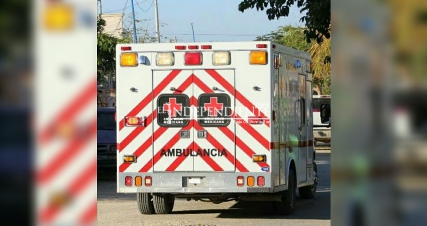 Con su bebé en brazos, mujer es atacada por un perro en la colonia Guaymitas de SJC