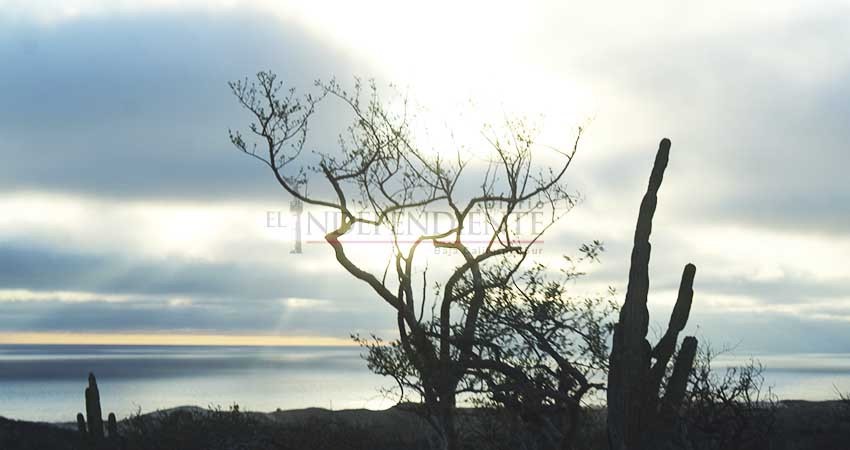 Depende de próximos diputados y senadores, futuro de la Ley de Biodiversidad: Fernández Sánchez-Navarro