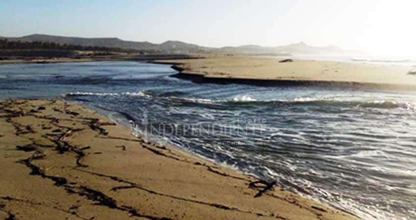 Bocana del Estero San José comienza a cerrarse, anuncia Ecología y Medio Ambiente