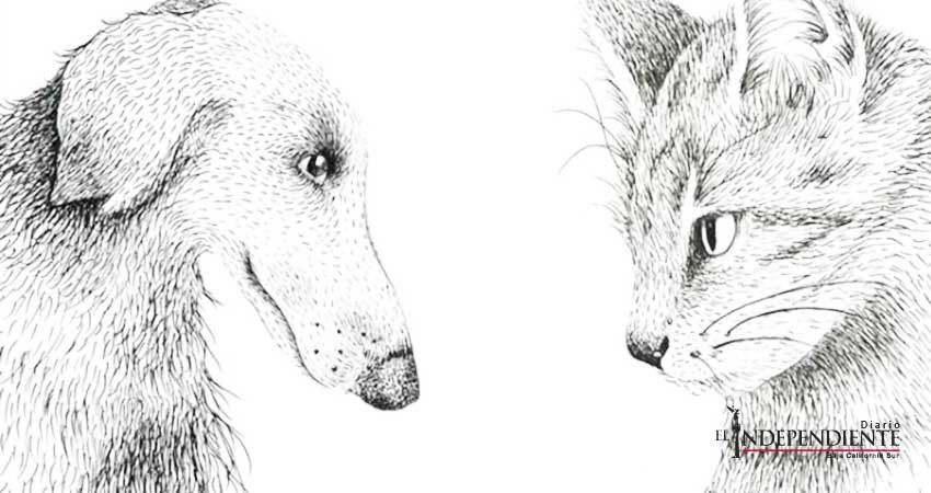 Huellas de papel; la literatura produce perros y gatos memorables