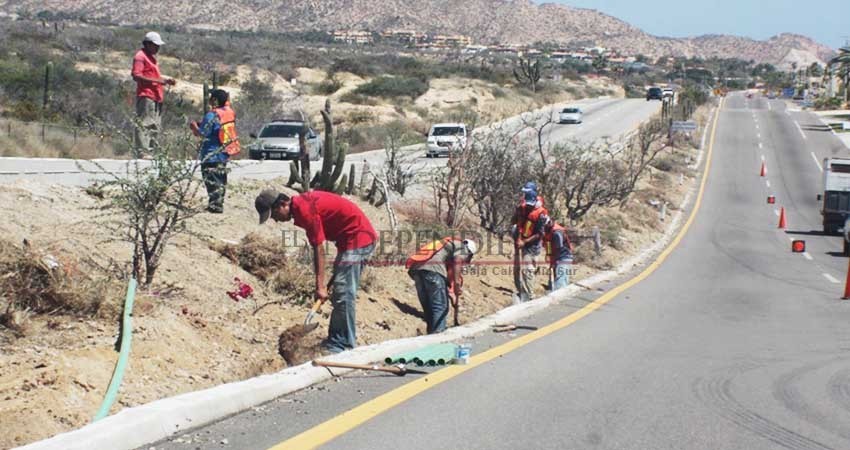 No contempla SCT construcción de puentes peatonales en el Corredor Turístico de Los Cabos