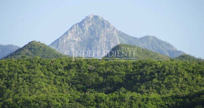 Rechazan ambientalistas llamado a debate de grupos promineros