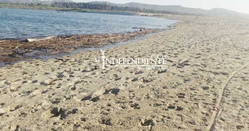 Tras ocho meses, de manera natural se cierra la barra del Estero San José