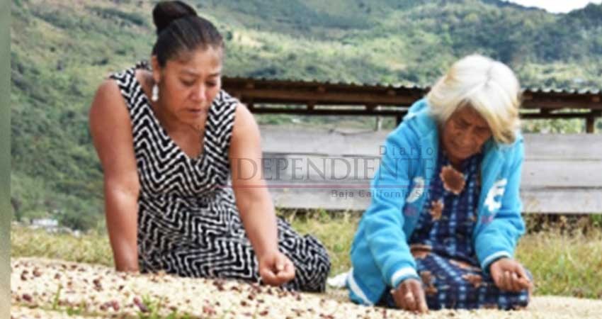 Indígena zapoteca gana concurso de fotografía