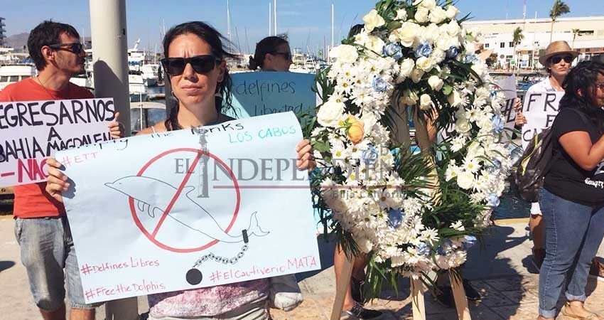 Con manifestación piden el cierre de delfinarios en Los Cabos