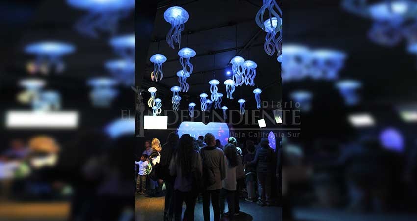 Empresario que busca construir acuario en Los Cabos, visitará el municipio