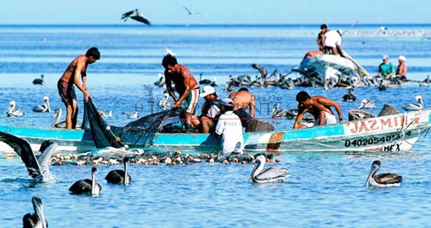 Cooperativa en Pto San Carlos se niega a ofrecer seguro médico a pescadores