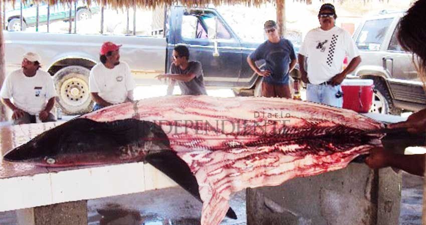 Debe ser obligación de los pescadores conocer las vedas temporales o acuerdos regulatorios