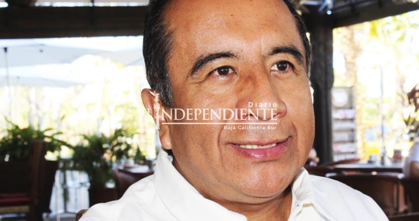 Programa Wolbachia pretende eliminar el dengue en año y medio en BCS