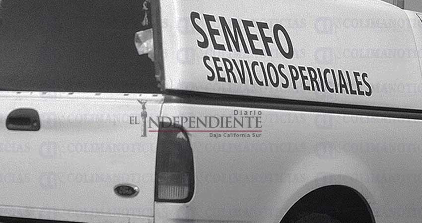 Lo asesinaron entre los palmares de Todos Santos