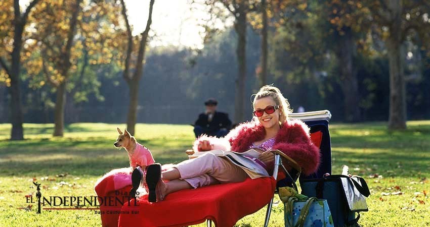 Reese Witherspoon cerca de rodar 'Legalmente Rubia 3'