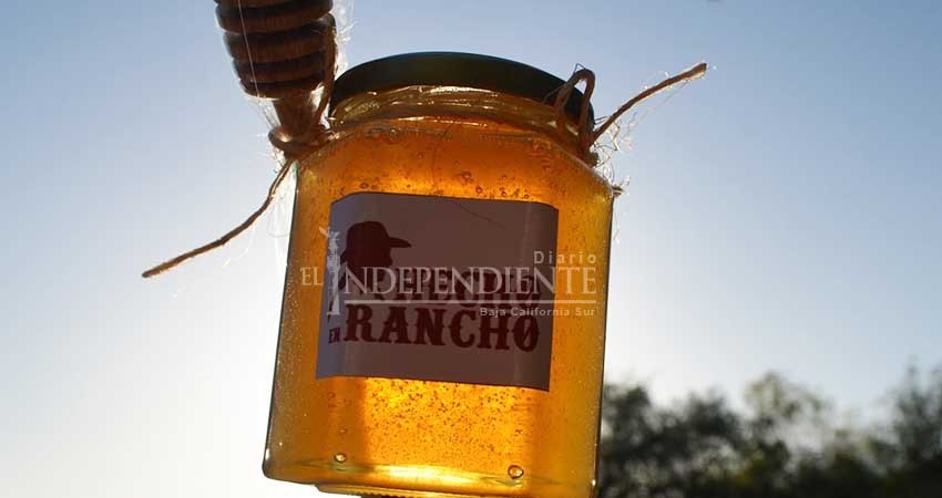 Prevén productores sustentables de la Sierra abrir una sucursal en La Paz