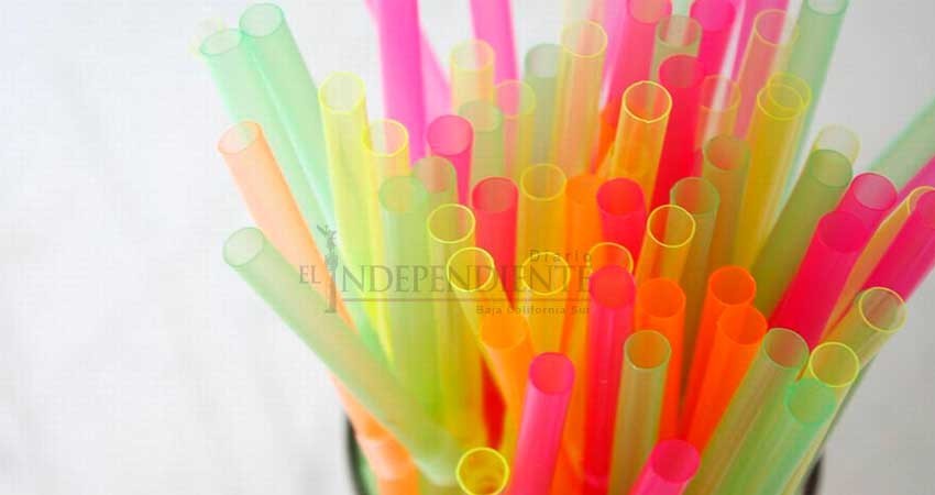 "Falta un proyecto más grande, no solo dejar de usar popotes": Desplastifícate