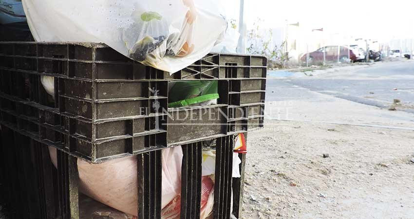 Reanuda Servicios Públicos recolección de basura tras el paso de "Bud"