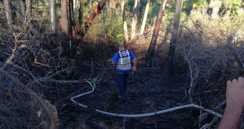 Se registra incendio en inmediaciones del estero; superficie afectada fue de unos 35 m2