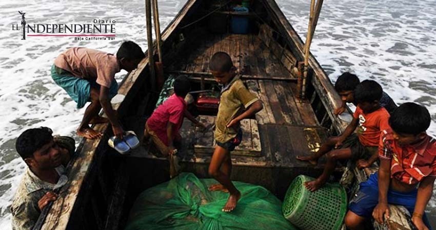 Un refugiado no es un peligro sino alguien que peligra: ACNUR