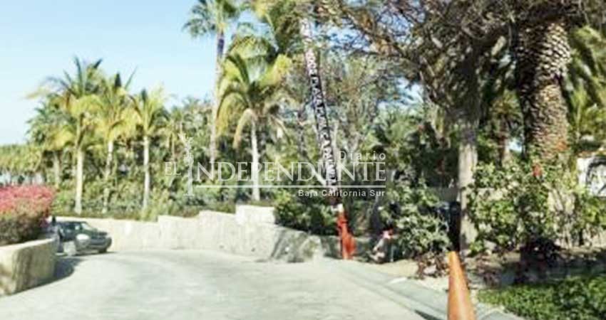 Hay que prevenir que Palmilla coloque pluma desde el puente de entrada