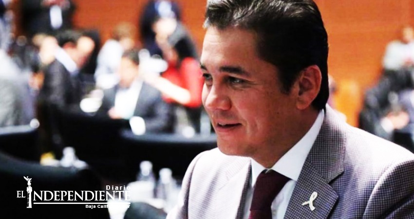 Con educación se combate la violencia: Partido Verde