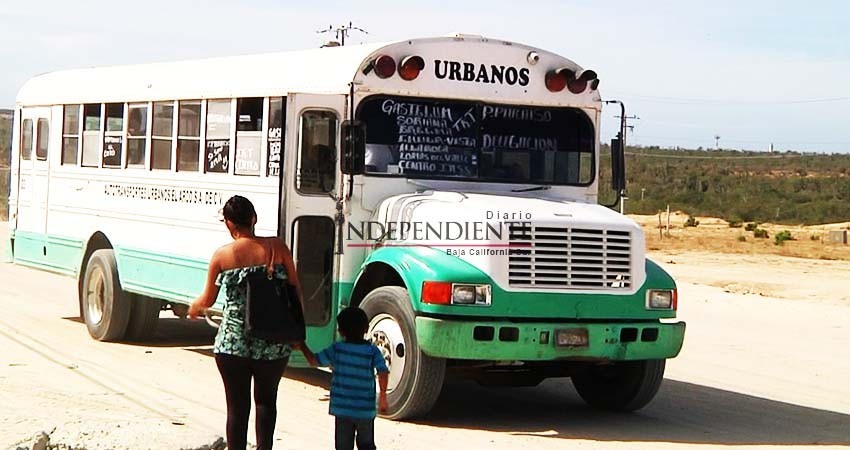Buscarán hacer equipo de trabajo transportistas con Armida Castro: Tracolsa