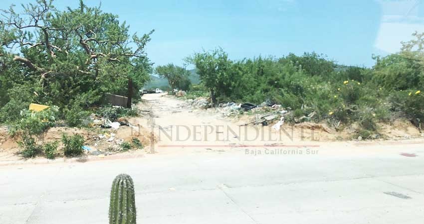 Basura y suciedad primera impresión de los turistas que llegan vía Aeropuerto de CSL
