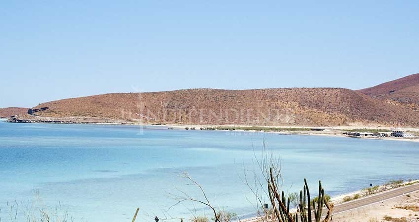 Sin acceso ambientalistas a datos sobre proyectos de inversión que llegan al Estado 