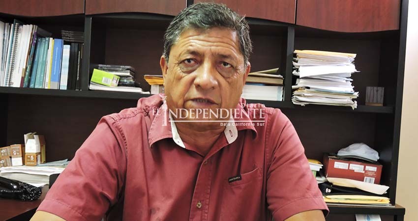 Ganamos Mulegé frente al fenómeno AMLO: PANAL