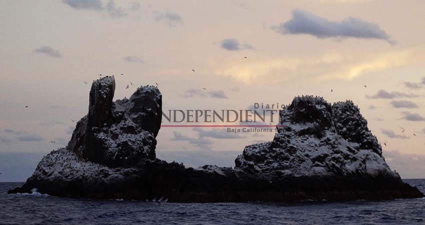 Celebra Archipiélago de Revillagigedo segundo año como Patrimonio Mundial Natural