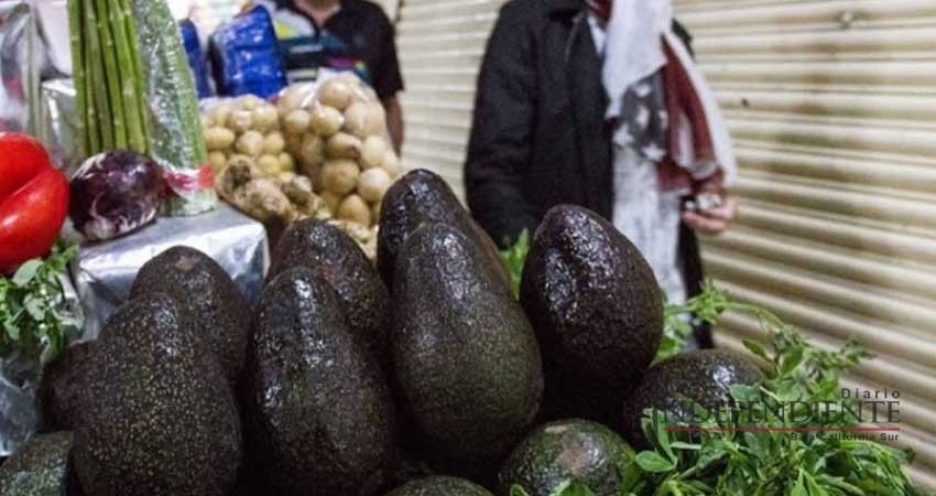 Aguacate… 'manjar de dioses' en Tijuana; está en $70 el kilo