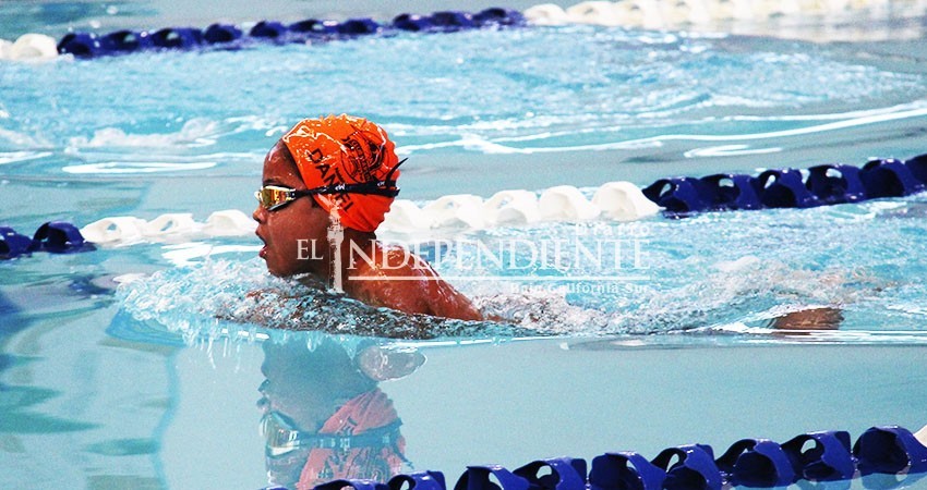 Retoma el GUM actividades tras el curso de verano