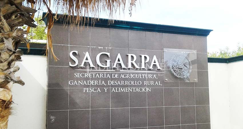 Podría Sagarpa BCS pedir reintegración de préstamos a 15 productores incumplidos