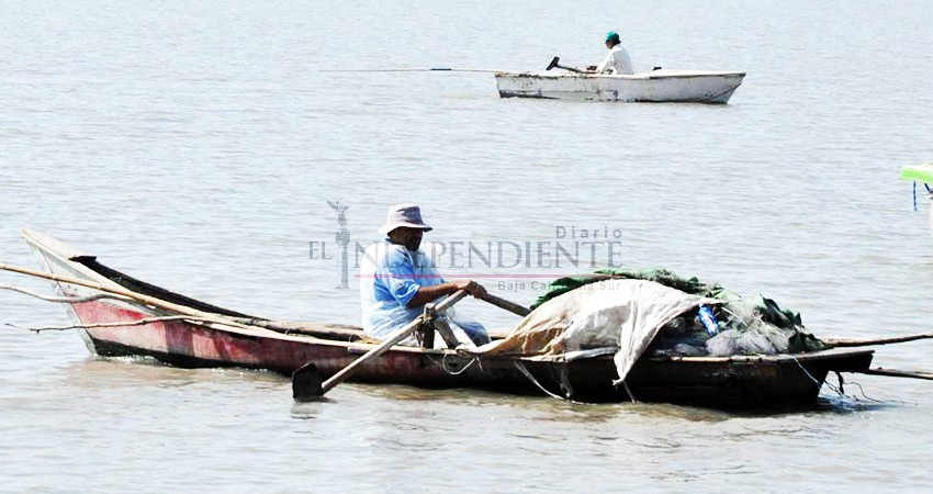 Evaluarán cooperativas embargo pesquero de EEUU con Conapesca