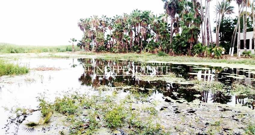 Estero San José se queda sin senderos